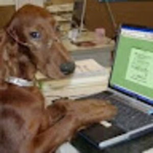 Meet your Posher, Frawggy